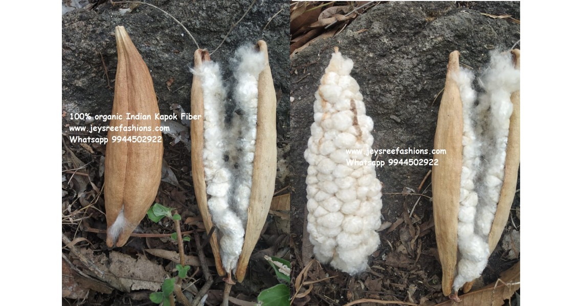 Kapok Silk cotton Ilavam Panju